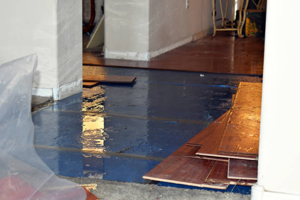 Professional Basement Flood Cleanup technician working in North Miami, OK